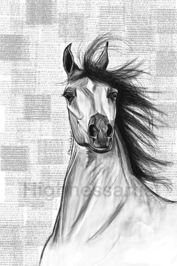 Picture of Hibat Faras