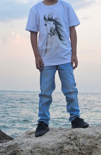 Picture of Arabian Horse